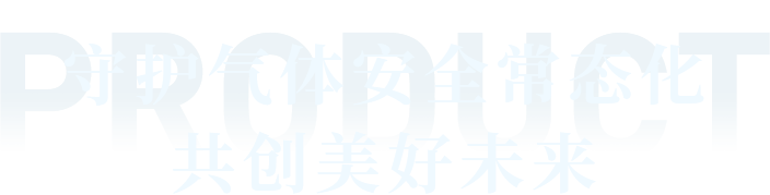 項(xiàng)目案例文字